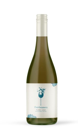 2025 Fiano
