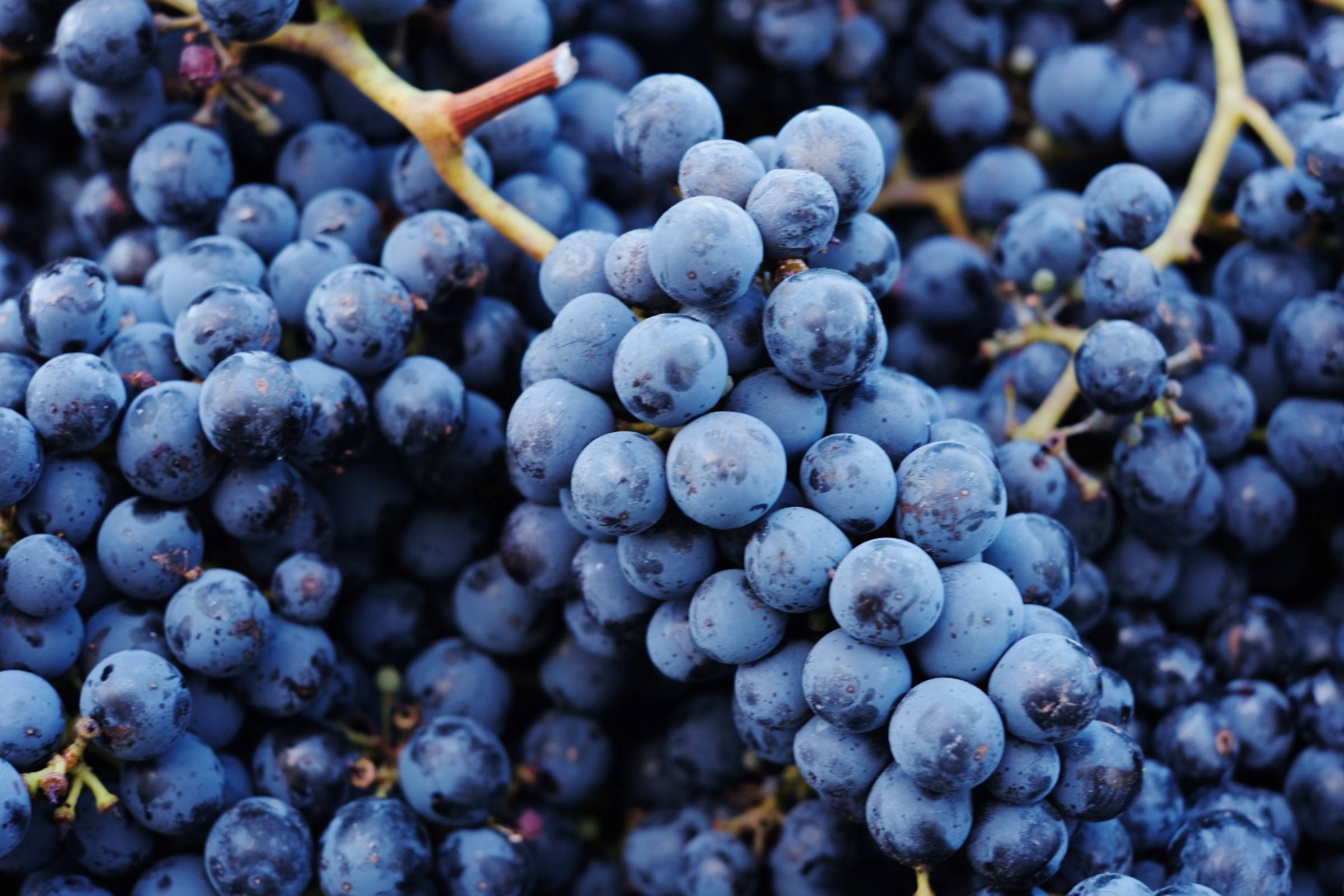 Grapes